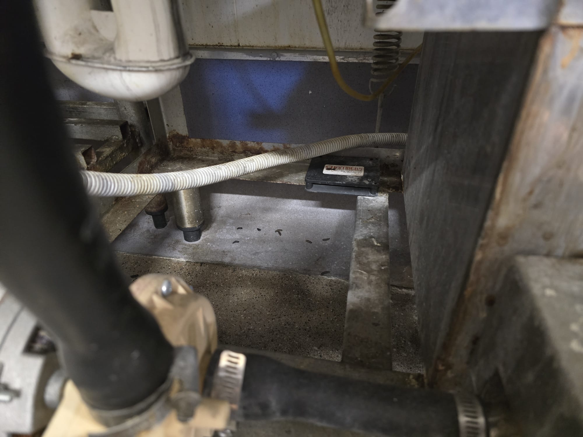 Perth Office Pest Control