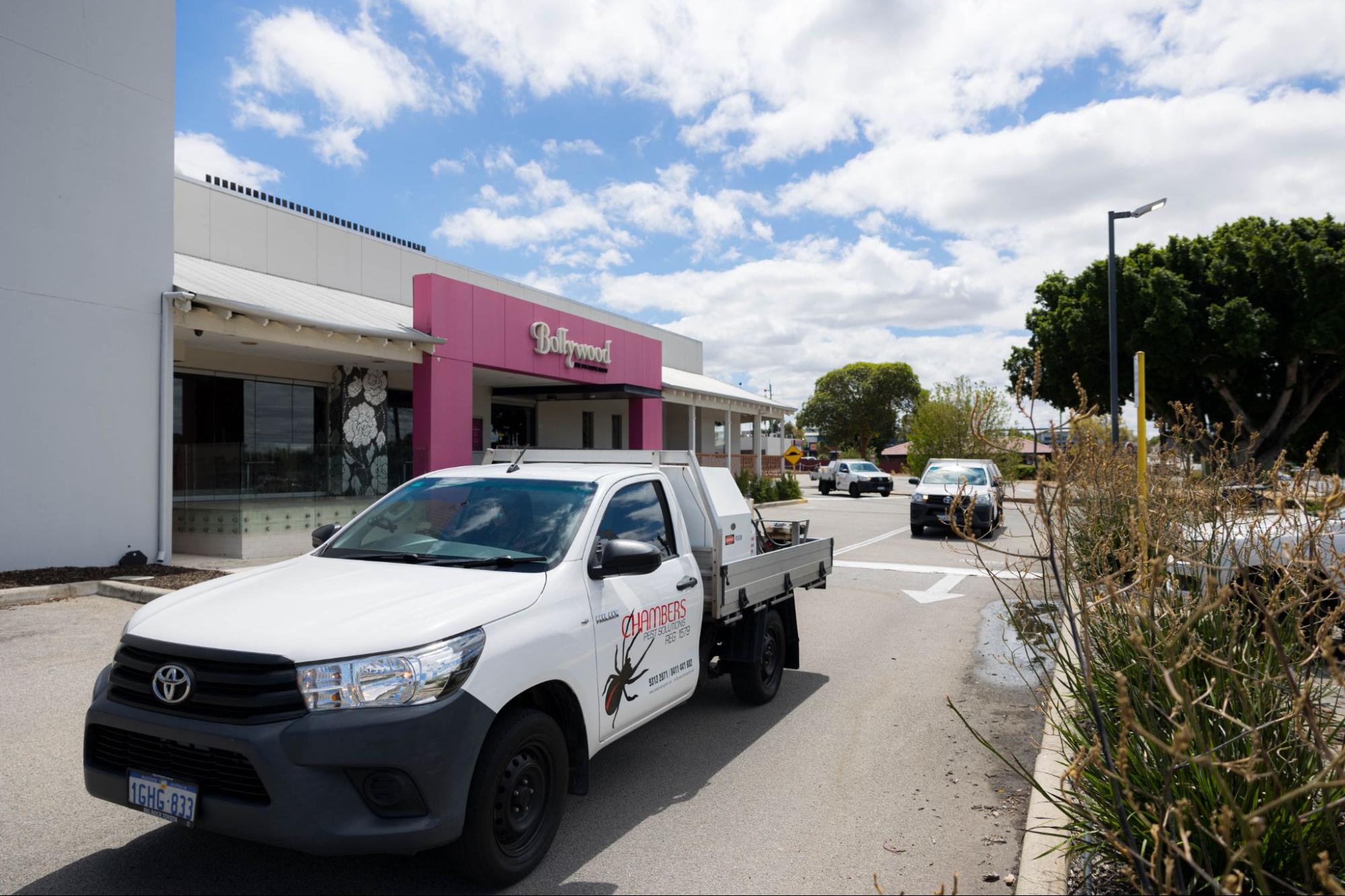 Best Office Pest Control in Perth