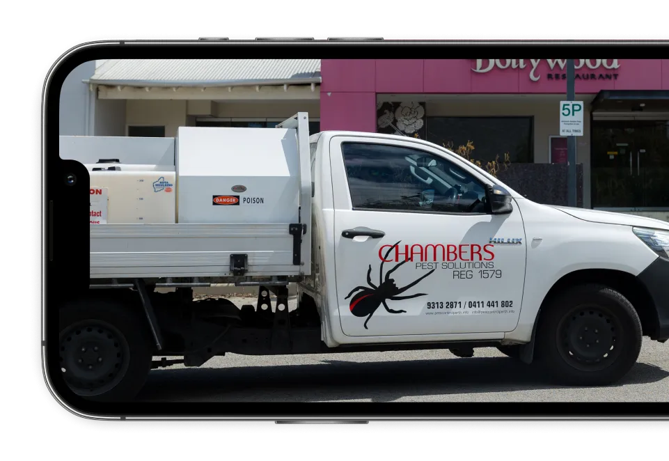 Chambers Pest Solutions