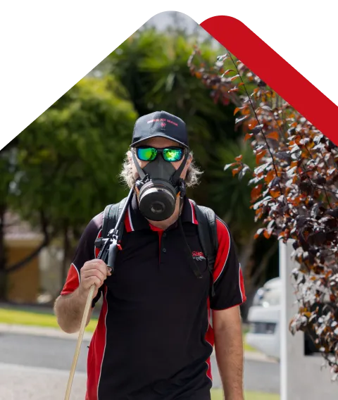 Chambers Pest Solutions