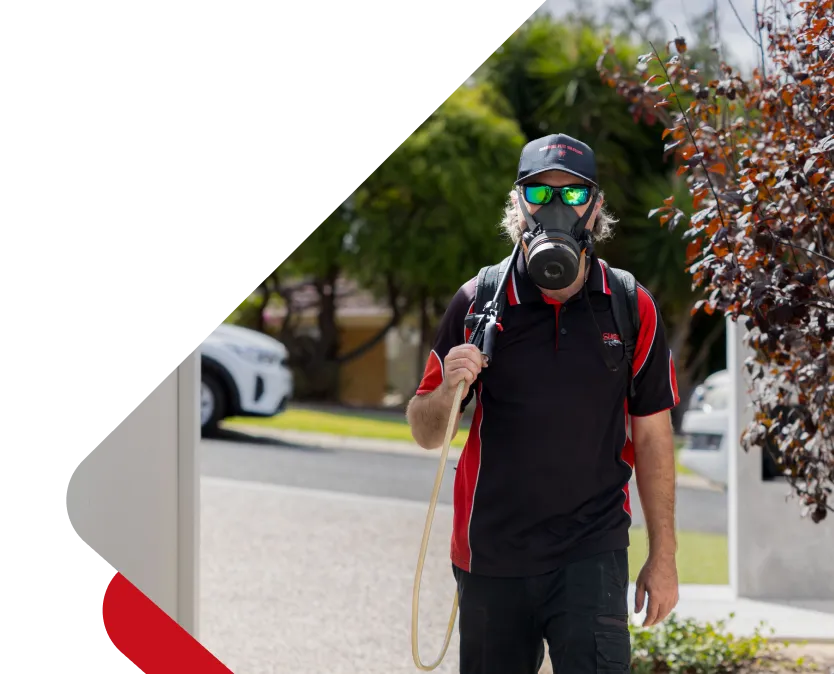 Chambers Pest Solutions