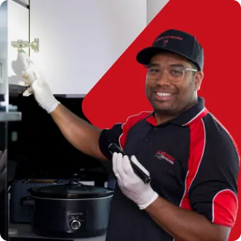 Chambers Pest Solutions