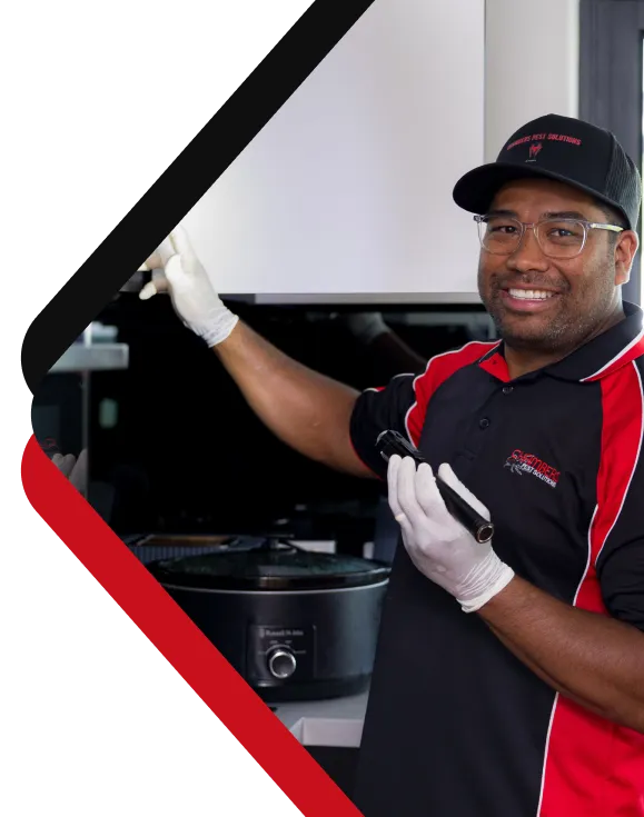 Chambers Pest Solutions