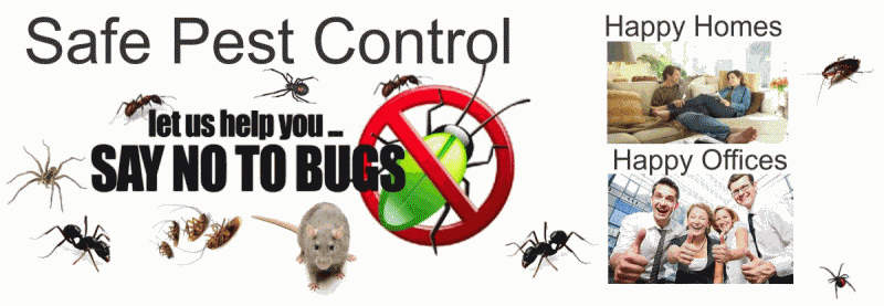 Safe Pest Control