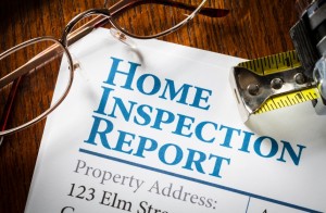 building & pest inspection services