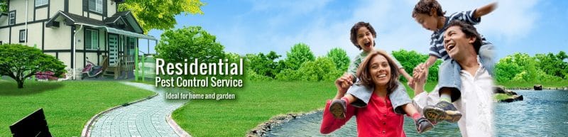 residential pest control service