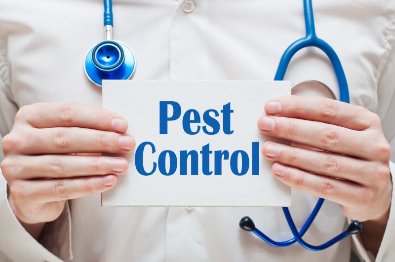 pest control Perth services