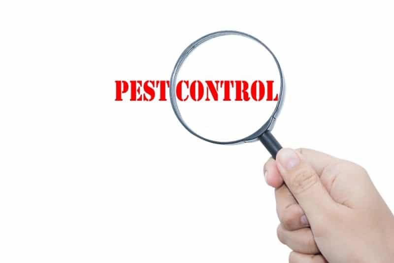 pest control Perth