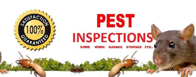 building and pest inspection Perth