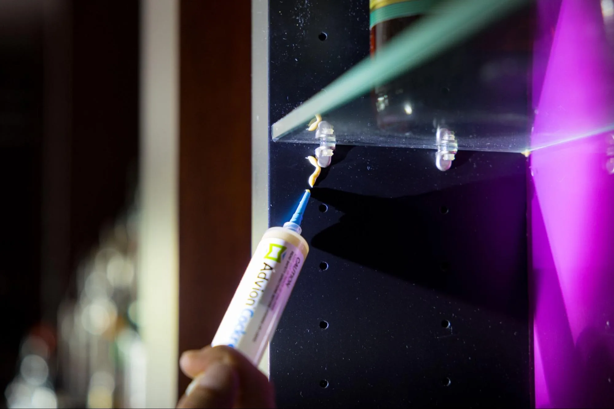 Best Strata Pest Control Perth