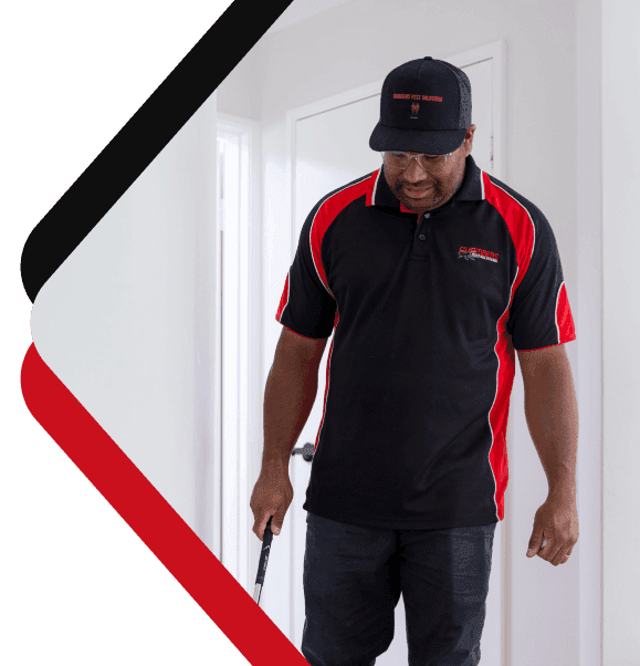 Real Estate Pest Control